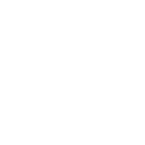 Dual Charging Option